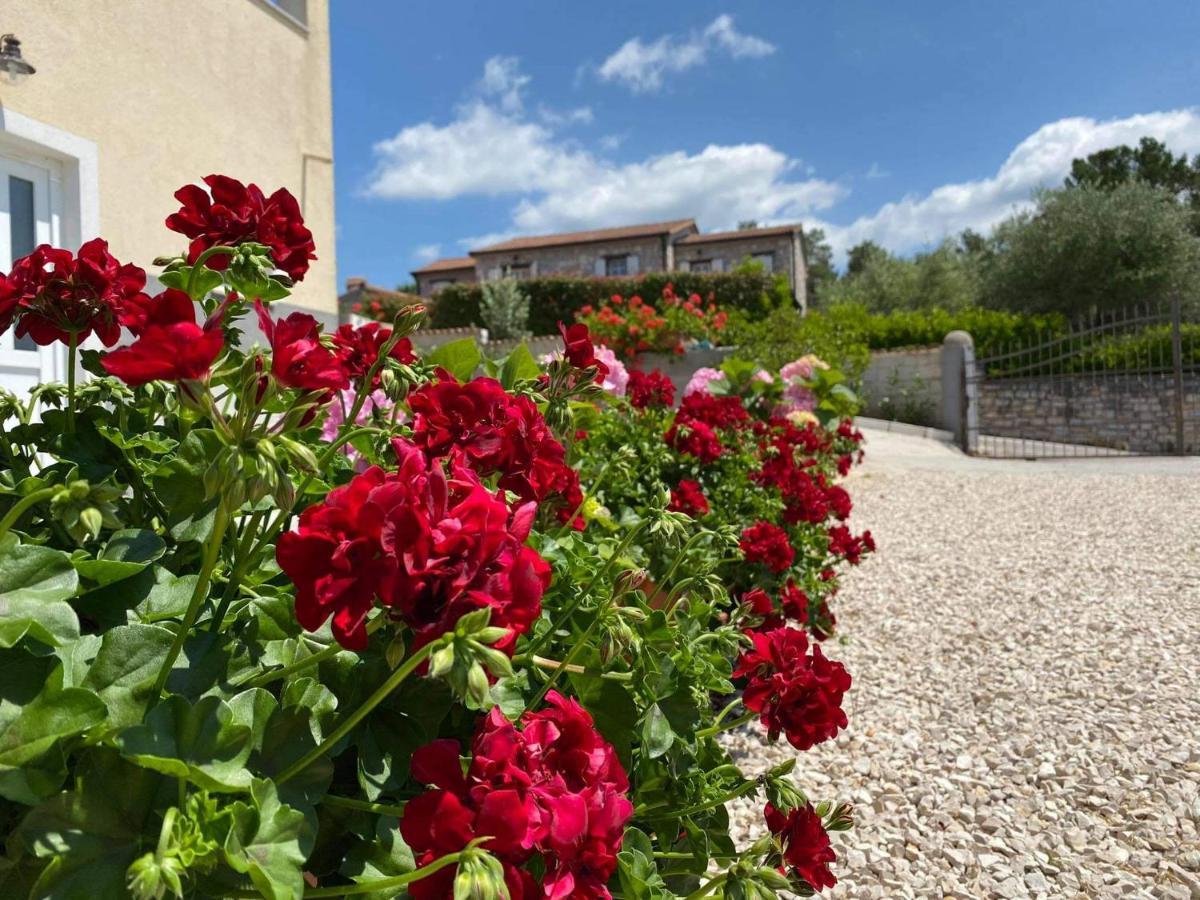 Apartman Luna Sveti Lovreč Pazenatički Εξωτερικό φωτογραφία